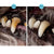 Pet Teeth Repairing Kit